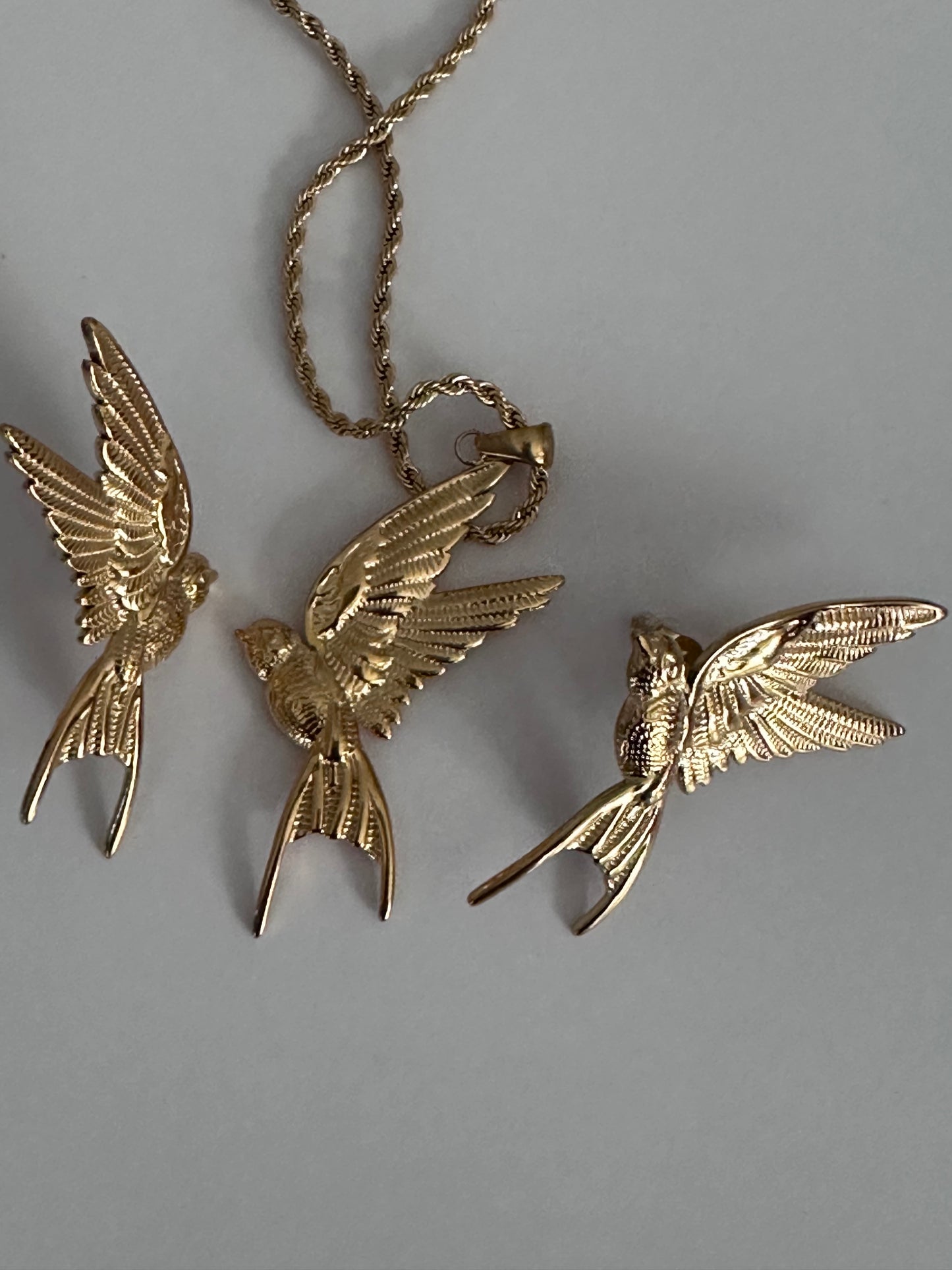 Collar HummingBird