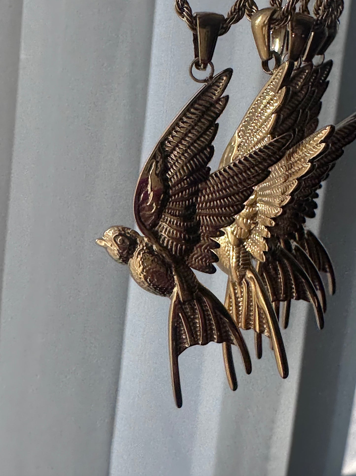 Collar HummingBird