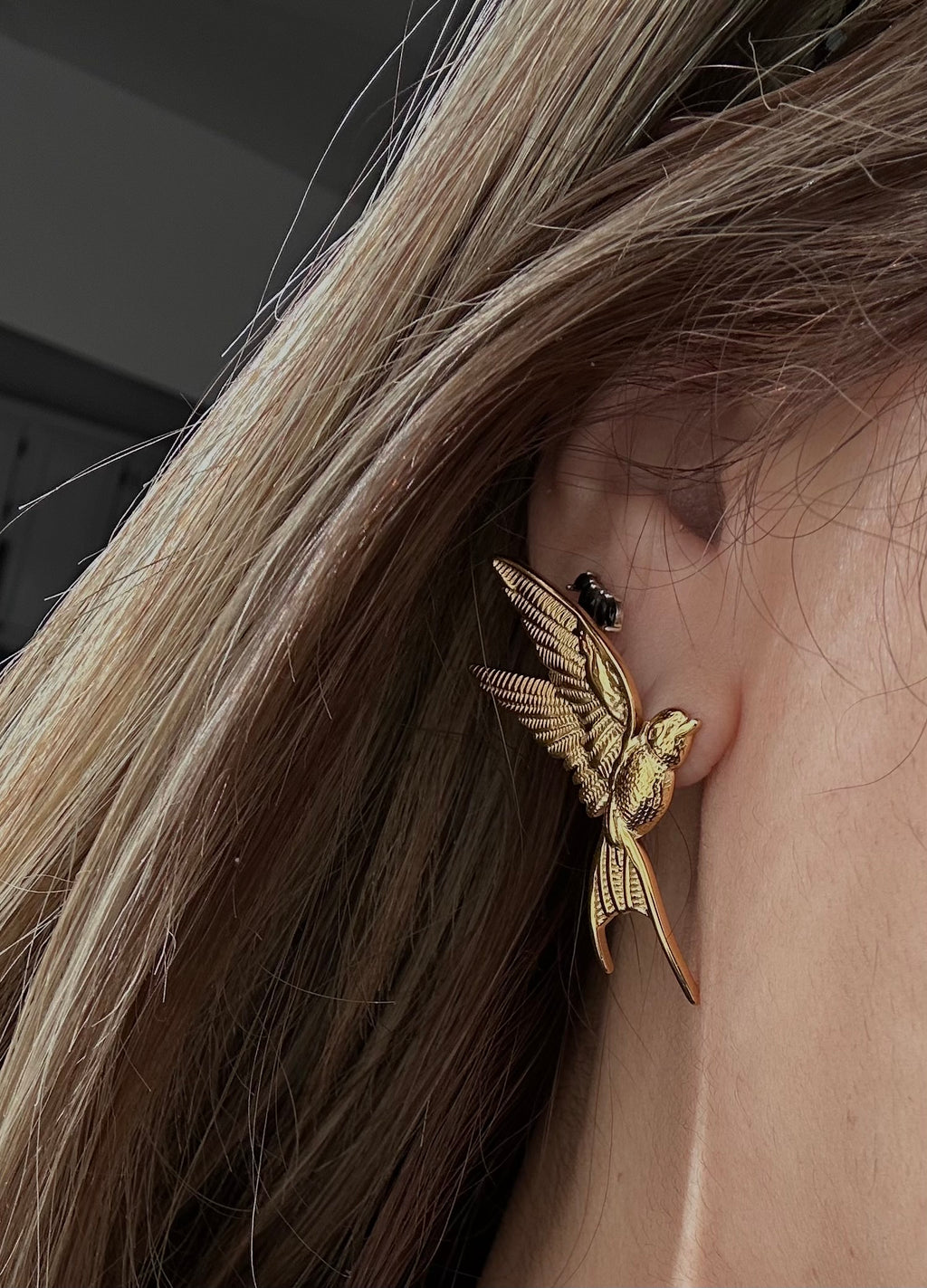 Aretes HummingBird