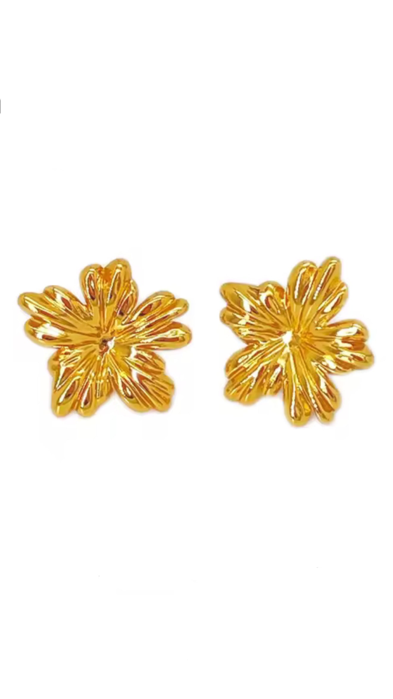 Aretes Forte