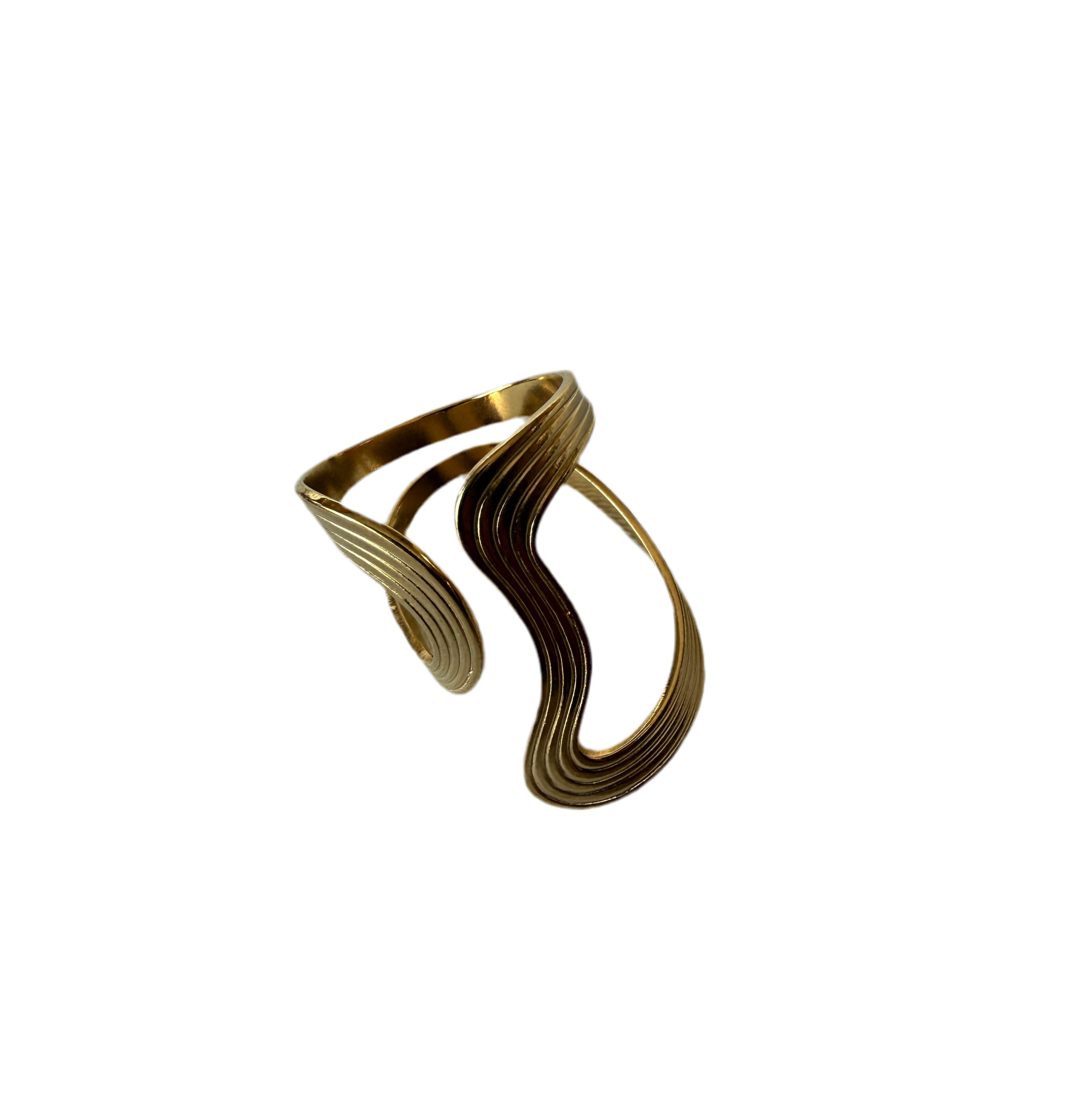 Anillo Vórtice