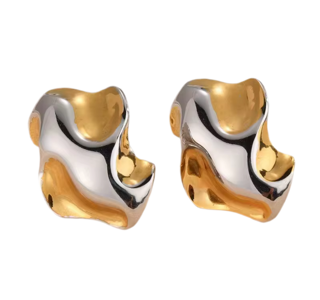 Aretes Bicolor V