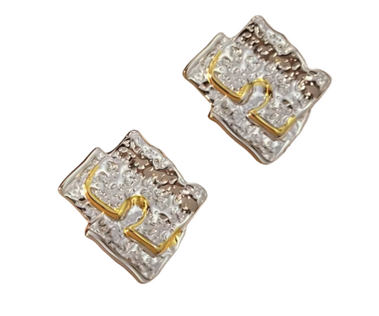 Aretes Bicolor IV