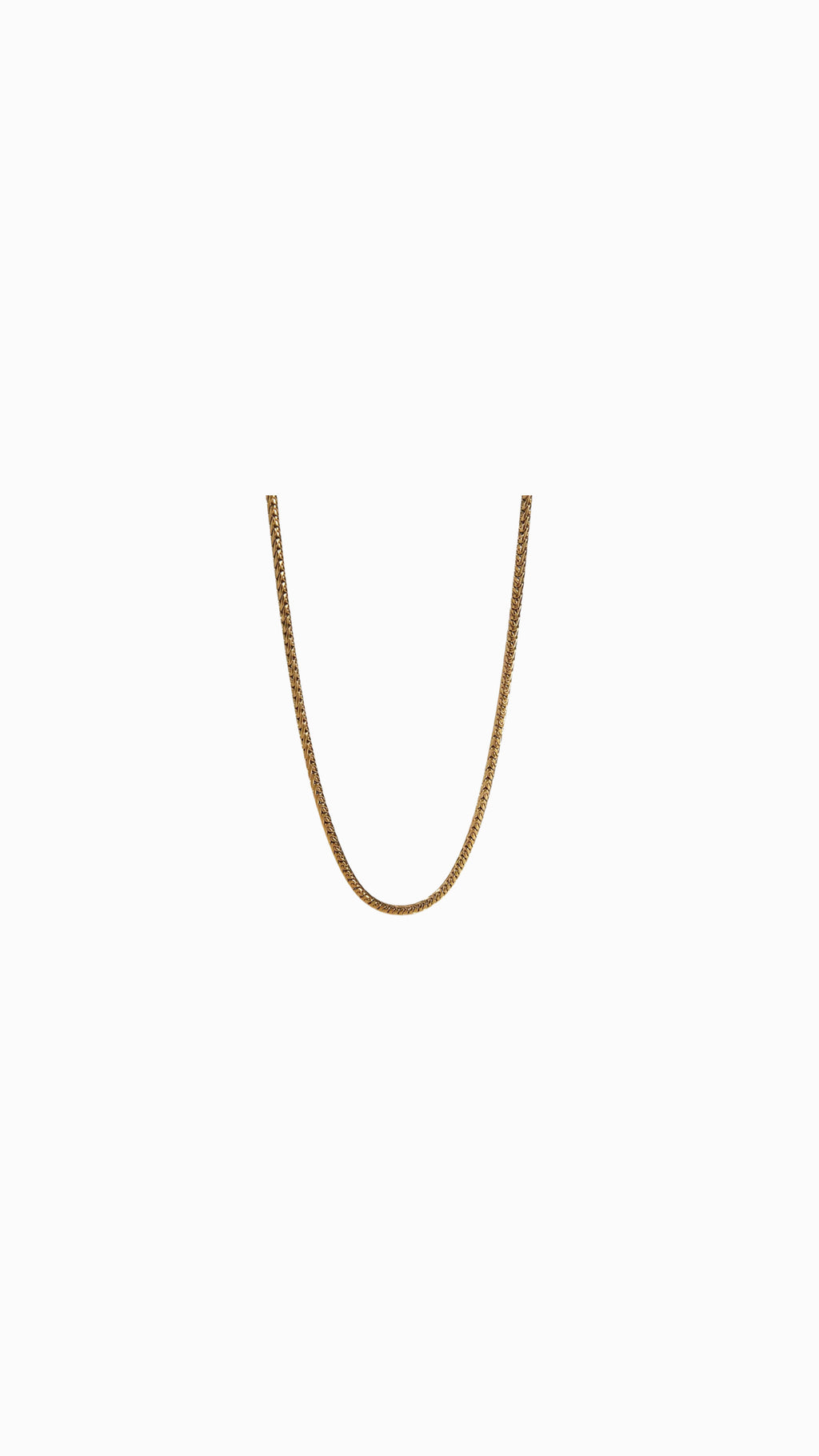 Collar Cobra