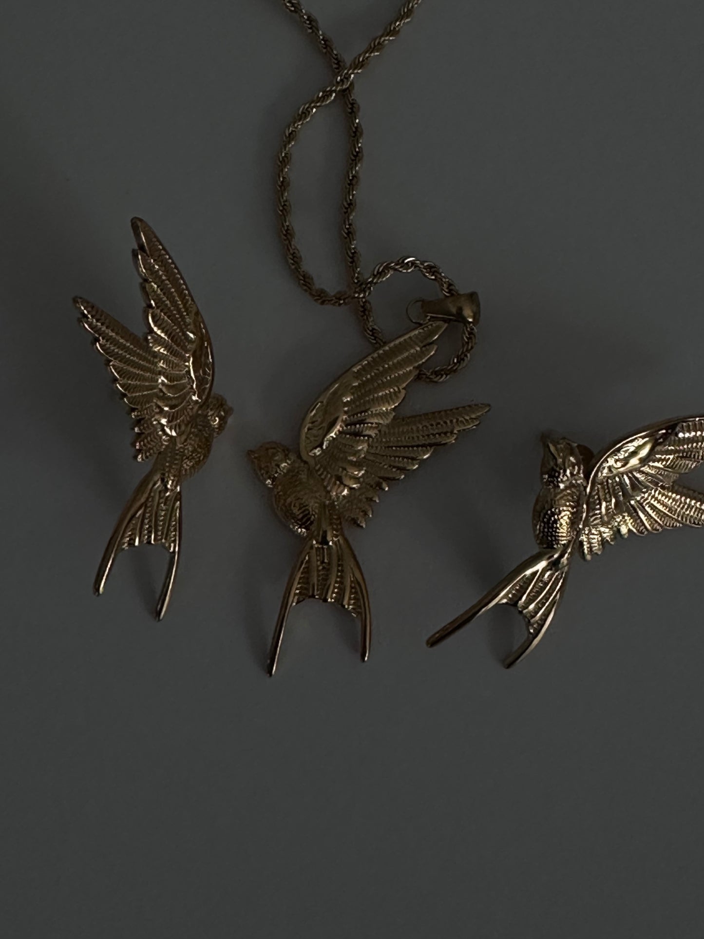 Aretes HummingBird