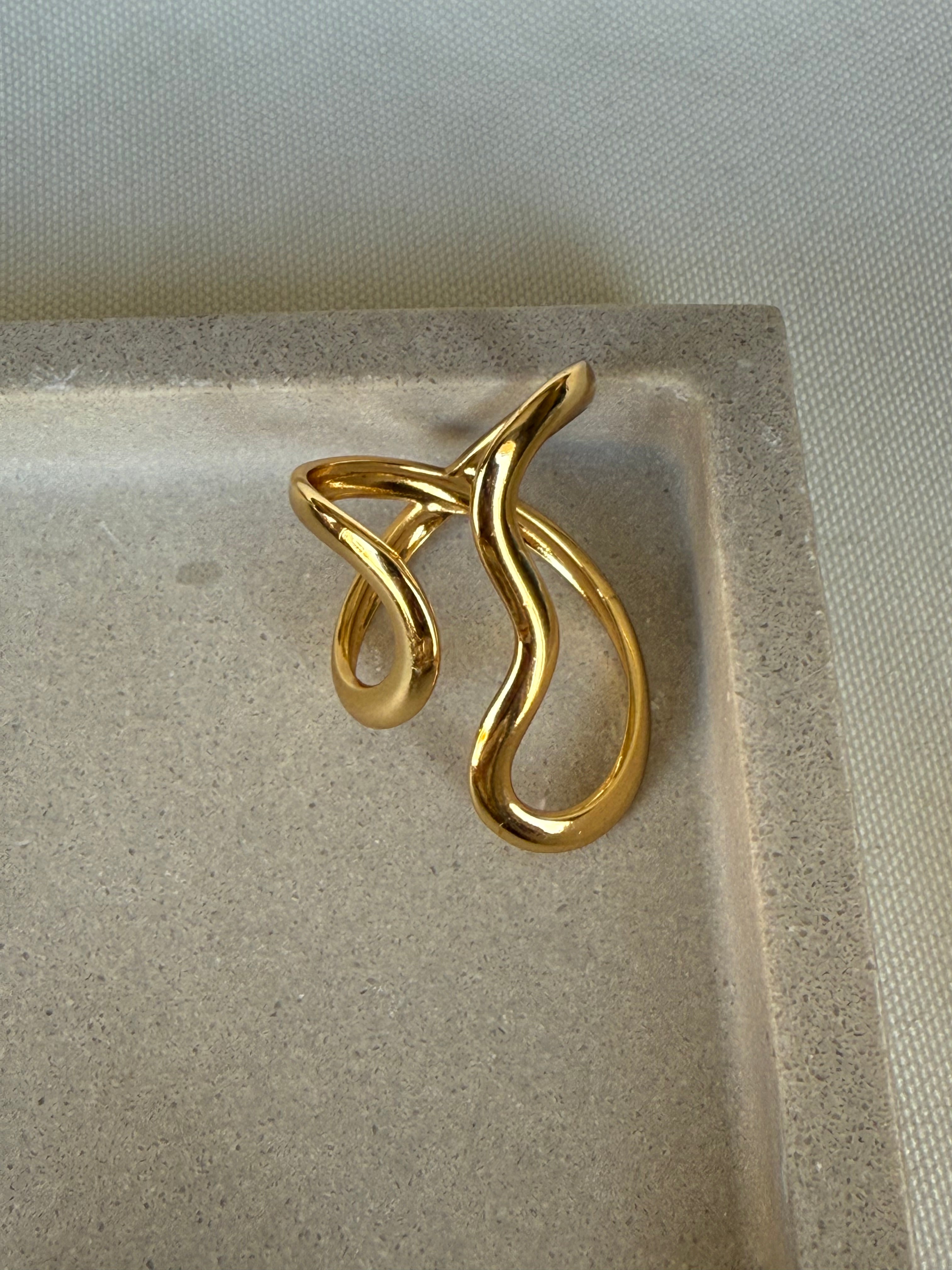 Anillo Vórtice