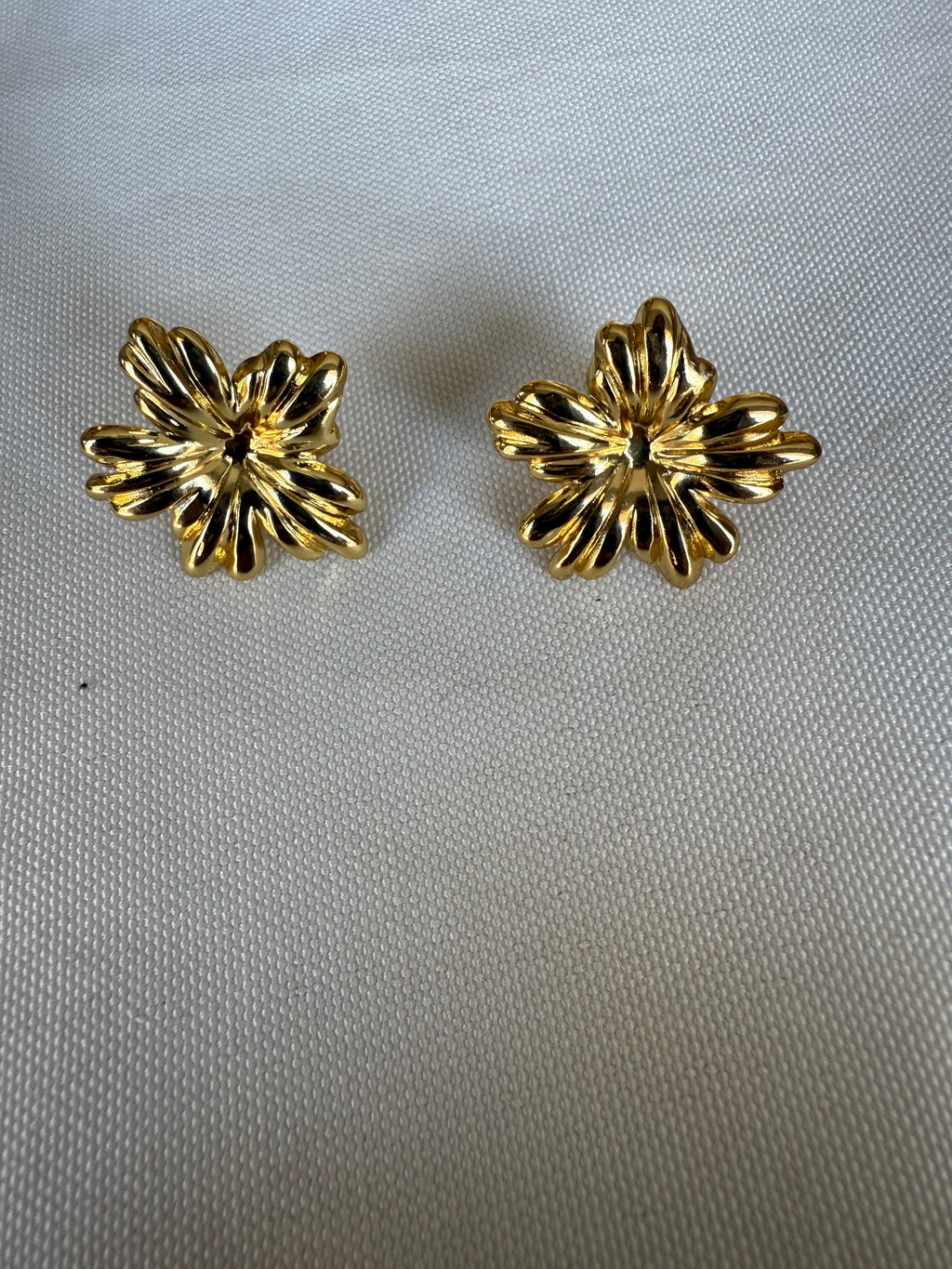 Aretes Forte
