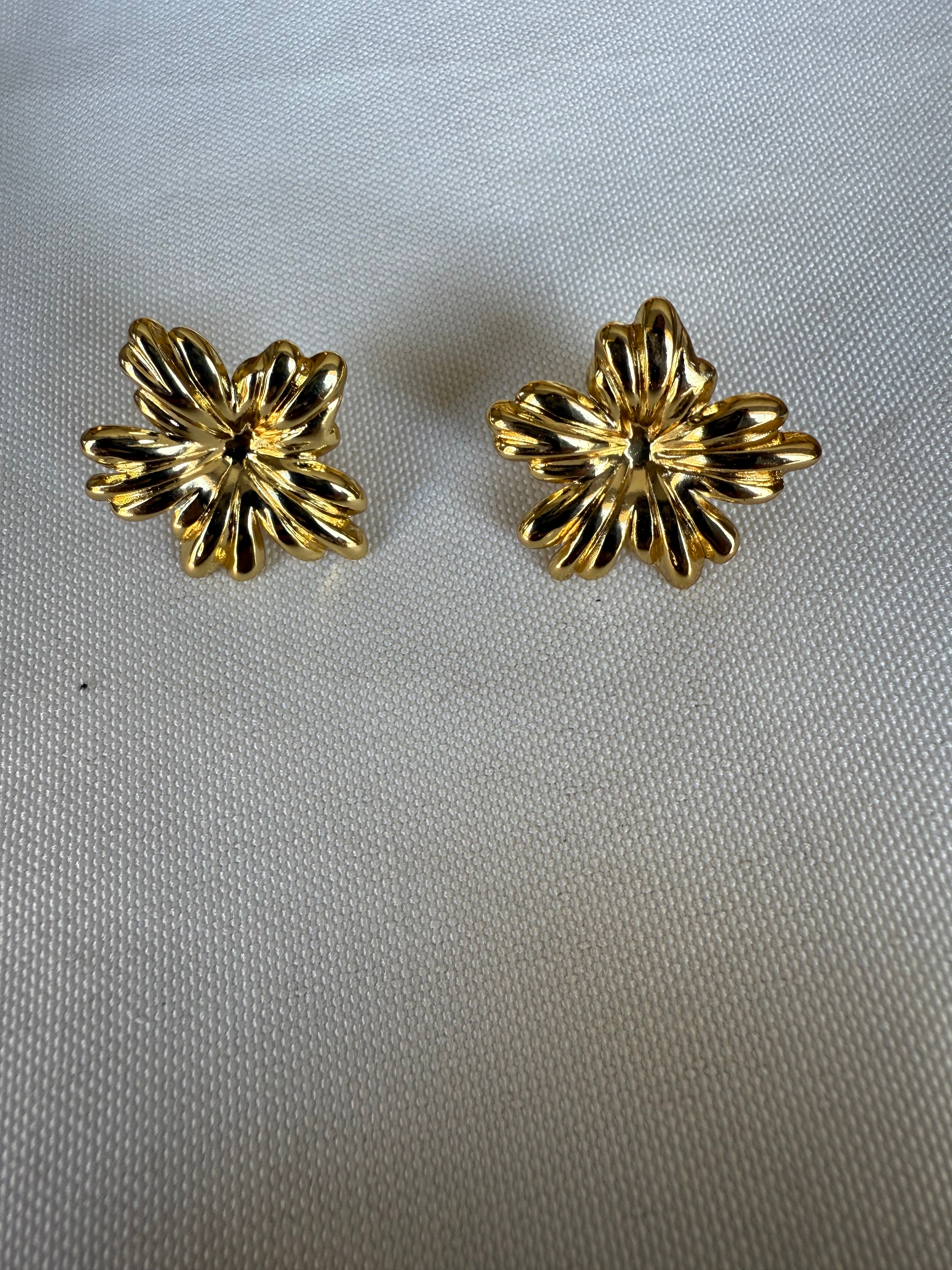 Aretes Forte