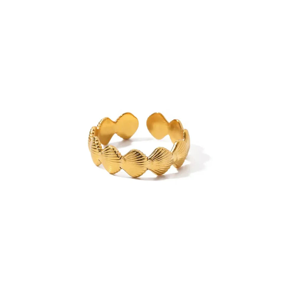 Anillo Shell