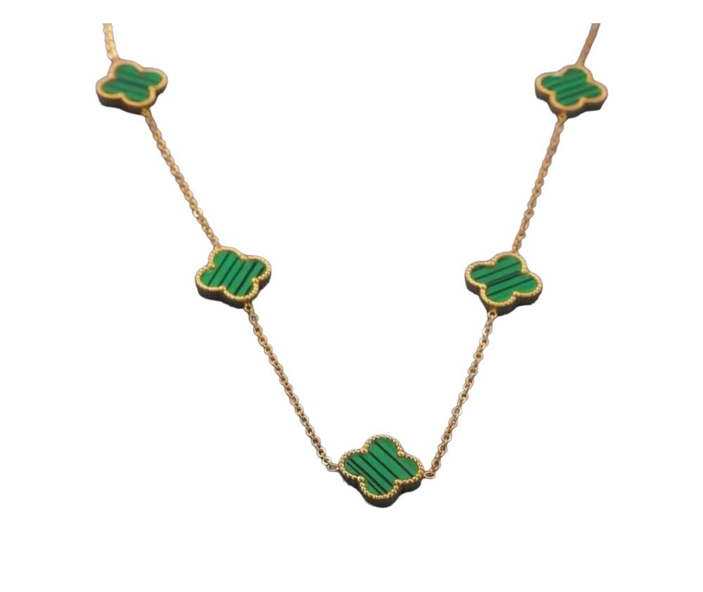 Collar Vandup